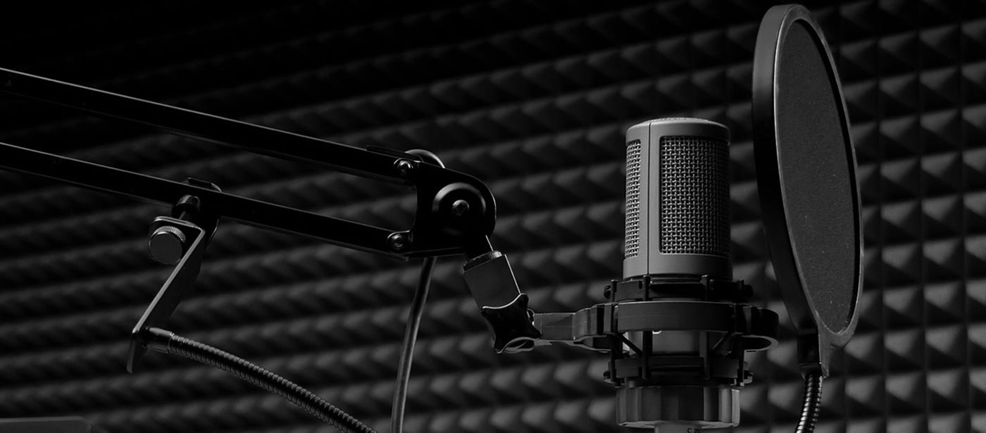 mic thu âm cao cấp 69